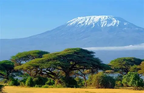 Ngorongoro